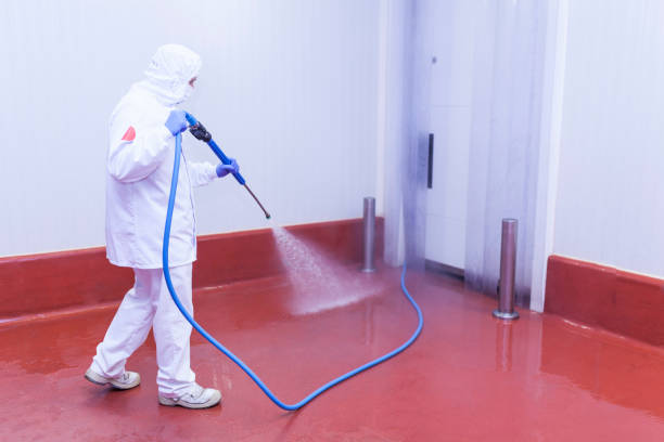 Best Sidewalk and Walkway Cleaning  in Fort Denaud, FL