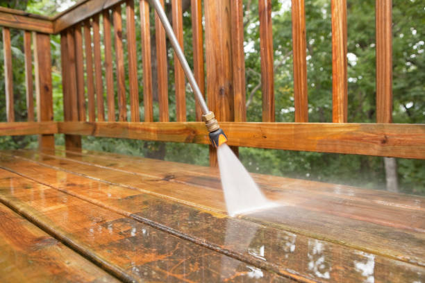 Best Dumpster Area Cleaning  in Fort Denaud, FL